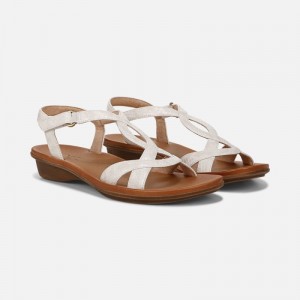 Naturalizer Women's SOUL Solo Flat Sandals Beige / Snake KR17-2417G1
