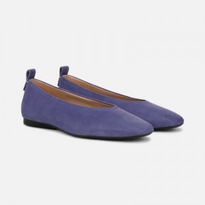 Naturalizer Women's 27 Edit Carla Ballet Flats Blue AP71-1821E2