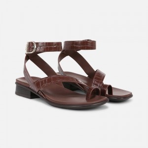 Naturalizer Women's Birch Flat Sandals Brown GV76-7056R1