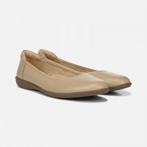 Naturalizer Women's Flexy Ballet Flats Brown SC01-4191L9