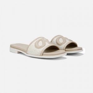Naturalizer Women's Genevieve Slide Sandals Brown HZ69-9889W0