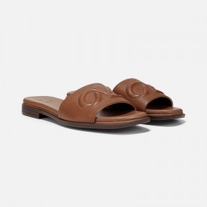 Naturalizer Women's Genevieve Slide Sandals Brown VN29-3029R2