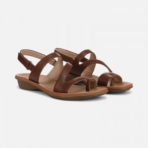 Naturalizer Women's Soul Shakina Strappy Sandals Brown DZ34-2224I0