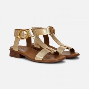 Naturalizer Women's Brandy Flat Sandals Dark Gold MC25-7915K0