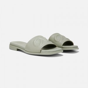 Naturalizer Women's Genevieve Slide Sandals Green TN25-6125X1